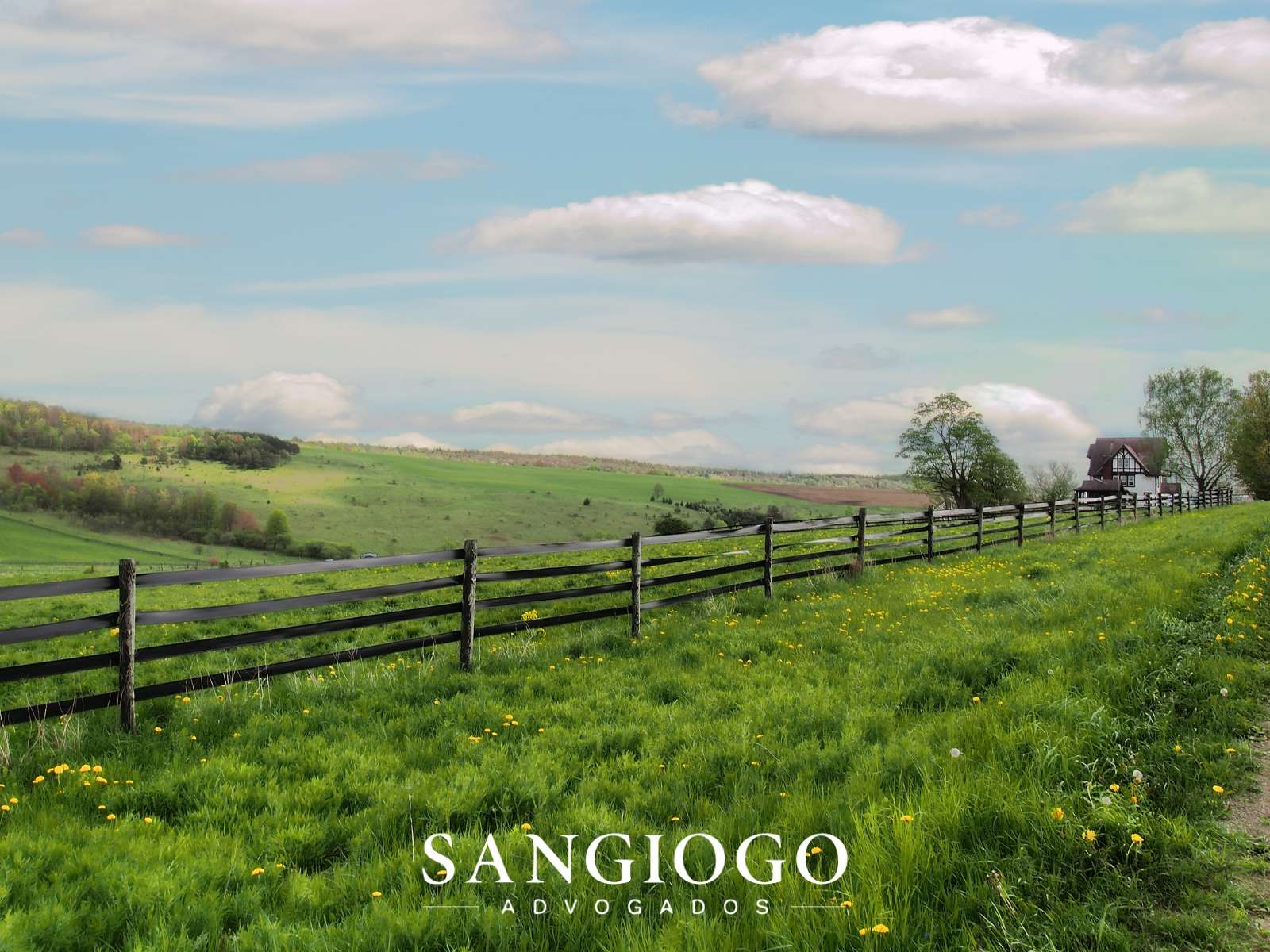 Usucapião Rural de até 50 Hectares: Quais São os Requisitos para Regularizar a Terra